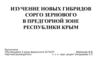 Новые гибриды сорго зернового в предгорной зоне Республики Крым