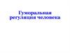 Гуморальная регуляция человека