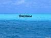 Океаны