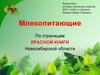 Млекопитающие. По страницам Красной книги новосибирской области