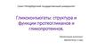 Гликоконъюгаты: структура и функции протеогликанов и гликопротеинов