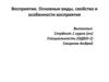 Восприятие. Основные виды, свойства и особенности восприятия