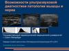 Возможности ультразвуковой диагностики патологии мышцы и нерва