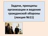 Задачи, принципы организации и ведения гражданской обороны (лекция №11)