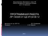 Программная работа лр 130305 01 сд.уп.04 09 12