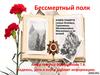 Бессмертный полк. Книга памяти семьи Осеевых, Гараниных, Миловановых, Масаловых и их ветвей