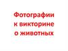 Фотографии к викторине о животных