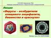 Вирусы – возбудители клещевого энцефалита, бешенства и краснухи