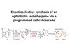 Enantioselective synthesis of an ophiobolin sesterterpene via a programmed radical cascade