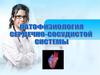 Патофизиология сердечно-сосудистой системы