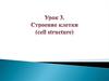 Строение клетки. Занятие №3