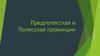 Предполесская и Полесская провинции в Беларуси