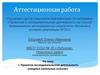 Аттестационная работа: Проектно-исследовательская деятельность учащихся начальных классов