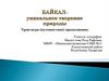 Байкал - уникальное творение природы. Урок-игра (путешествие) продолжение