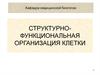 Структурно-функциональная организация клетки