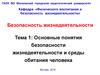 Основные понятия безопасности жизнедеятельности и среды обитания человека