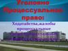 Уголовно Процессуальное право: Ходатайства, жалобы процессуальные сроки, процессуальные издержки. Реабилитция