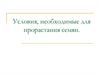 Условия, необходимые для прорастания семян
