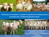 Текущее состояние и задачи по развитию овцеводства и козоводства в Краснодарском крае
