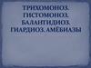 Трихомоноз. Гистомоноз. Балантидиоз. Гиардиоз. Амебиазы