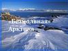 «Безмолвная» Арктика