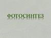 Фотосинтез