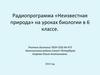 Отдел Голосеменные. Строение, развитие и значение хвойных растений