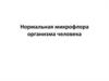 Нормальная микрофлора организма человека