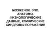 ЭПС. Мозжечок. Анатомо-физиологические данные, клинические синдромы поражения