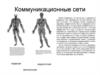 Коммуникационные сети