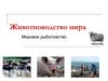 Животноводство мира. Мировое рыболовство. 10 класс