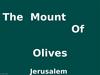 Mount of Olives Jérusalem