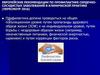 Европейские рекомендации по профилактике сердечно-сосудистых заболеваний в клинической практике