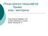 Птицы Крыма. Игра-викторина