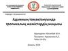 Адамның тамақтануында тропикалық жемістердің маңызы