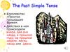 The Past Simple Tense