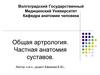 Общая артрология. Частная анатомия суставов