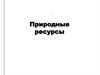 Природные ресурсы. (Глава 8)