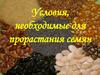 Условия, необходимые для прорастания семян