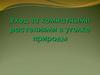 Уход за комнатными растениями в уголке природы
