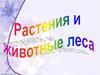 Растения и животные леса