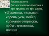 Особенности размножения растений. Открытый урок 6 класс