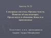 Сенсорные системы. Органы чувств. Понятие об анализаторах. Орган вкуса и обоняния. Кожа и ее производные