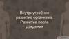 Внутриутробное развитие организма. Развитие после рождения
