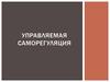 Управляемая саморегуляция