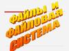 Файлы и файловая система. Что такое файл?