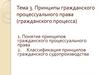 Принципы гражданского процессуального права. (Тема 3)