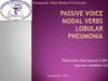 Passive voice modal verbs lobular pneumonia