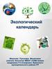 Экологиеский календарь