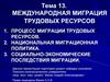 Международная миграция трудовых ресурсов